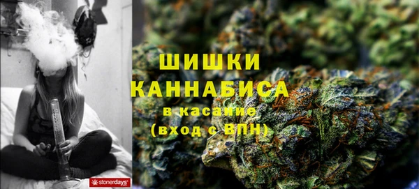 apvp Няндома