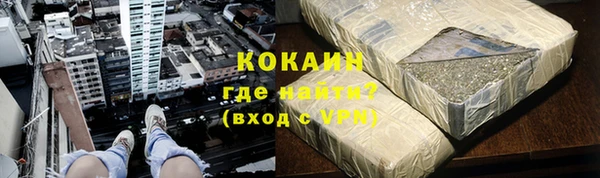 дживик Алексин